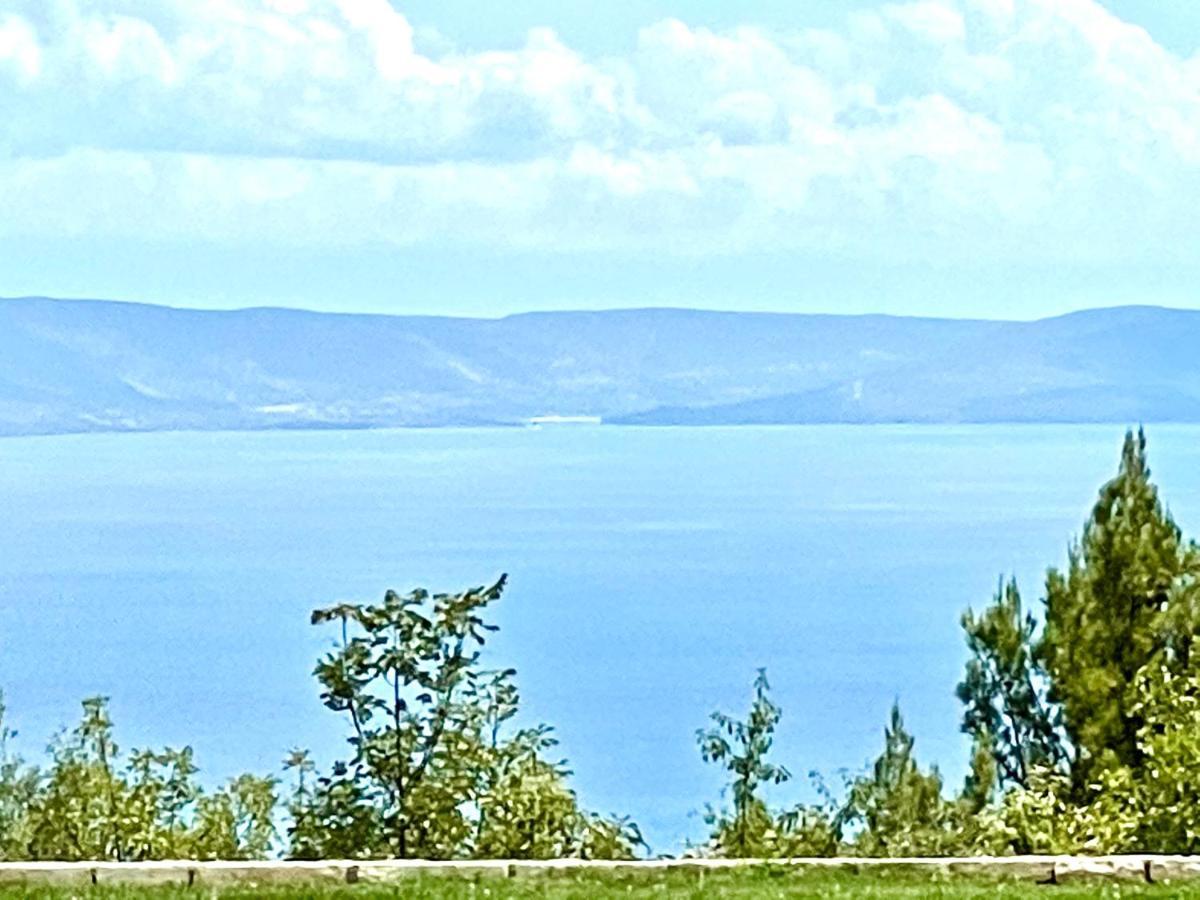 Luxury Panorama Vila With Amazing Seaview In Gondolici 7 Km From Rabac Labin  Exterior photo