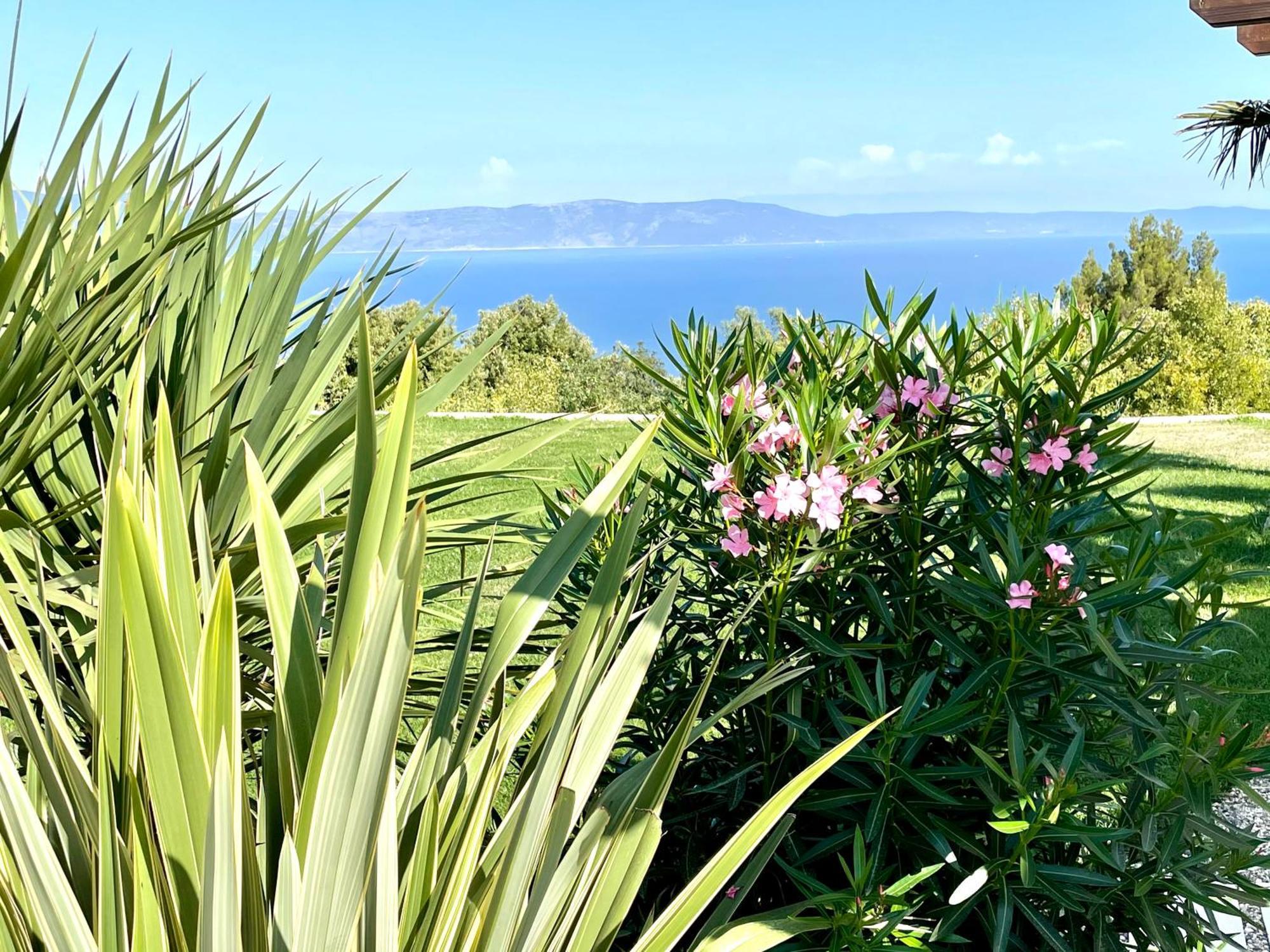 Luxury Panorama Vila With Amazing Seaview In Gondolici 7 Km From Rabac Labin  Exterior photo